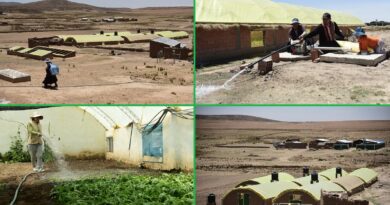 Cosechar verde en el altiplano: En Calamarca y San Andrés de Machaca enseñan a hacer frente a los efectos del cambio climático