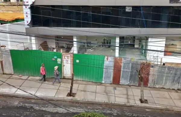 Entre 125 y 1.000 UFVs es la multa por la poda y tala de árboles en La Paz
