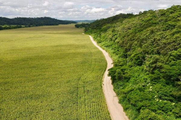 Piden ampliar denuncia contra hija del presidente Arce y gerente regional de un banco por préstamo de Bs 63 millones