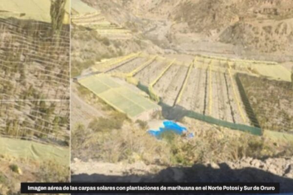 «México Chico», la comunidad donde el narcotráfico domina