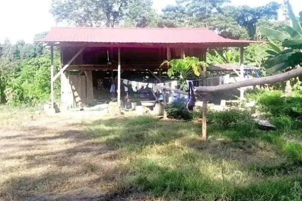 Shinaota: reportan asesinato de padre e hijo por narcotráfico